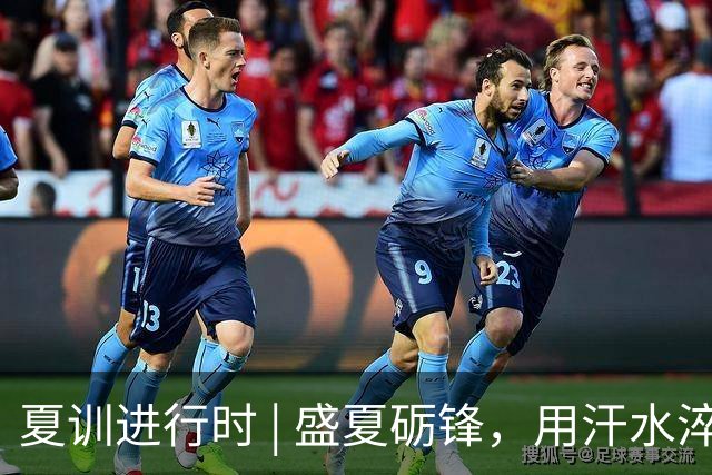 夏训进行时 | 盛夏砺锋，用汗水淬炼向上力量！
